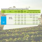 aspersor-agropolo-ny30-ny-30-er-bico-irrigacao-tubo-nylon-2