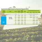 aspersor-agropolo-ny30-ny-30-er-bico-irrigacao-tubo-nylon-2